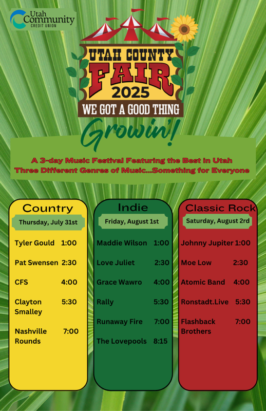 3 Day Music Festival Schedule