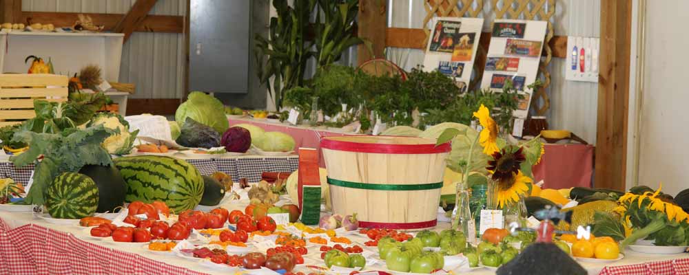 Competitive Arts Exhibits